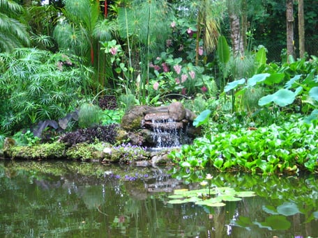 Akupunktur, Meridiancheck, Meridiane, Bewegungsapparat, Chinesische Medizin, Heuschnupfen, Blockaden lösen, Migräne behandeln, Kinderwunsch, Heuschnupfen, Kopfschmerzen, Magenschmerzen, Allergien, Nervosität, Erkältungskrankheiten, Kinderwunsch, Schwanger