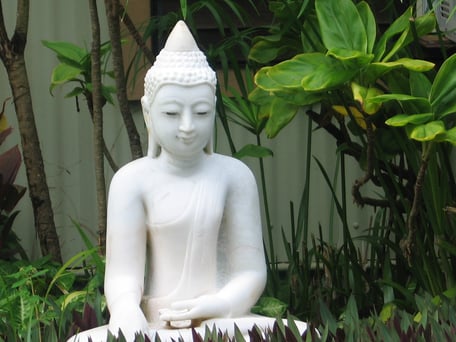 Akupunktur, Meridiancheck, Meridiane, Bewegungsapparat, Chinesische Medizin, Heuschnupfen, Blockaden lösen, Migräne behandeln, Kinderwunsch, Heuschnupfen, Kopfschmerzen, Magenschmerzen, Allergien, Nervosität, Erkältungskrankheiten, Kinderwunsch, Schwanger