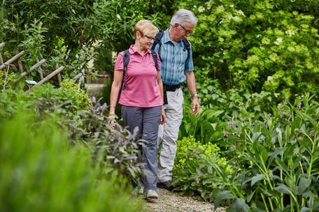 Wanderer Kräutergarten