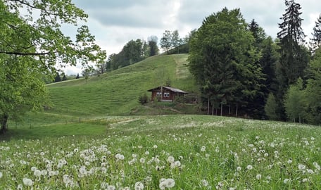 Foto: Tourismus Kräuterdorf Hergiswil