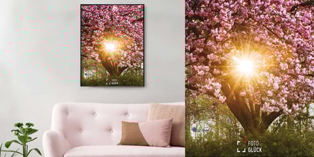 Foto Glück Fotografie Poster 