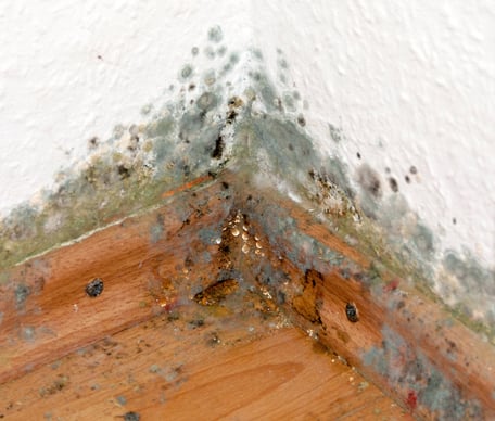 © Thorben Wengert-pixelio-vqc-medium.de