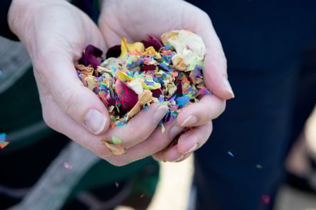 © Carruthers & Hobbs/istockphoto.com/akz-o