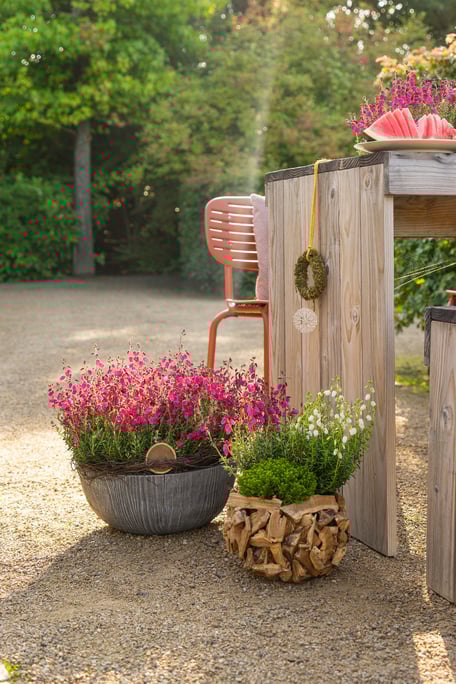 © Harries Plantdesign