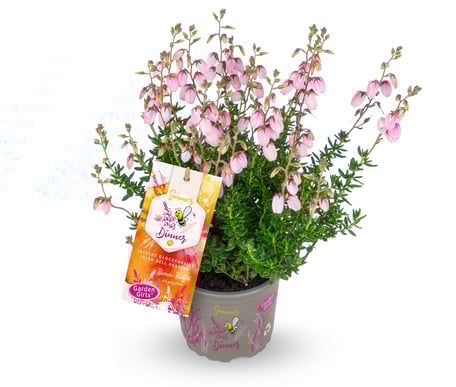 © Harries Plantdesign