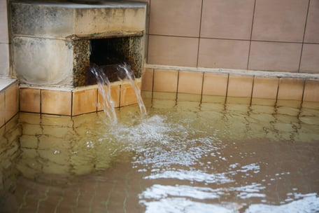 天然ラジウム温泉