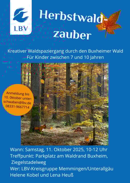 Flyer_Herbstwaldzauber@Lena_Heuss