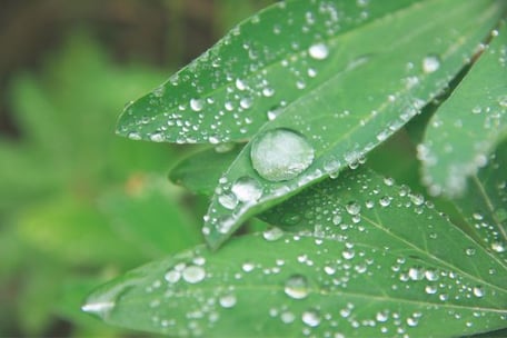 Spezielle Dienstleistungen, Naturheilpraxis Gesundheitsoase Gabi Burki-Rindlisbacher