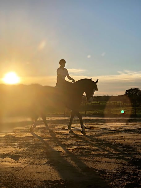 Reitplatz Impressionen