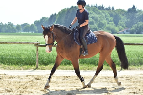 Training auf dem Reitplatz