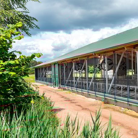 Curtains in einem Offenstall