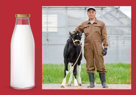 健康スープの製造・販売