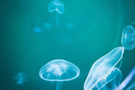 Events & Workshops mit Simone Scheuner: Yoga, Klang, Meditation, Kinder & Erwachsene