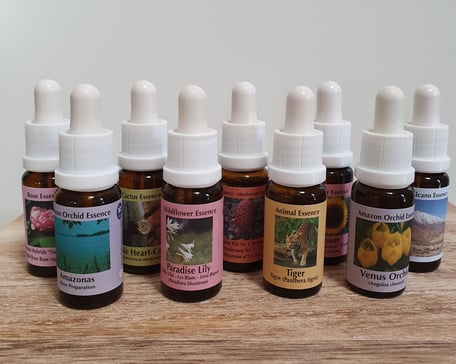 PHI Essenzen bei Rückenbeschwerden, Praxis für Kinesiologie & Komplementärtherapie in Meisterschwanden, Seetal