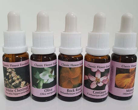 Bachblüten Kur, Praxis für Kinesiologie & Komplementärtherapie in Meisterschwanden, Seetal