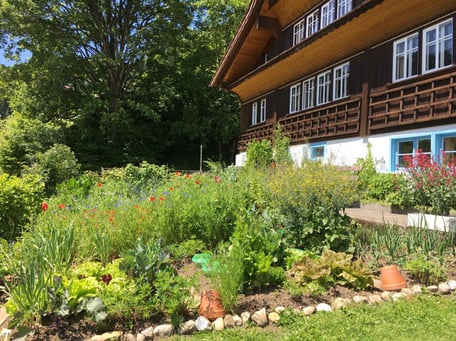Bioterra Garten Naturgarten Gartenführungen Atelier Atelier-Café Café Daniel Gisler Kunst Kunstmaler Krinau Toggenburg Ostschweiz St. Gallen