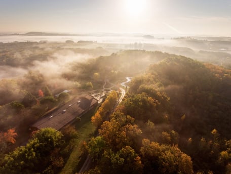 Plum village. https://plumvillage.org/about/plum-village/