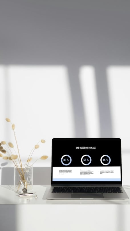 visuel représentant le whitebook sur le marketing digital de l'artiste Alex pixelle