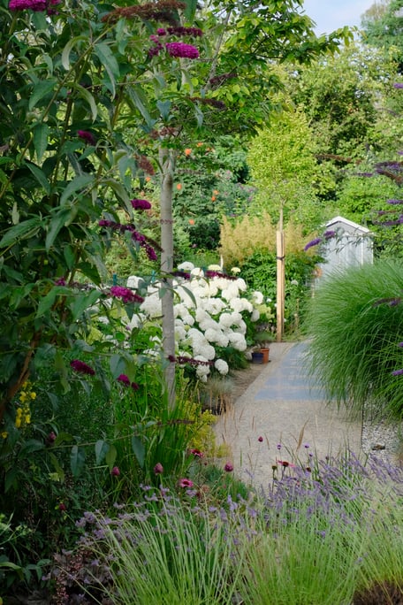 dieartigeGARDEN - Ballhortensien, Sommerflieder + Gräser / hydrangea, butterfly bush + grasses