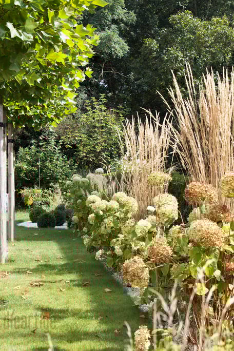 dieartigeBLOG - Herbst - Ballhortensien + Gartensandrohr