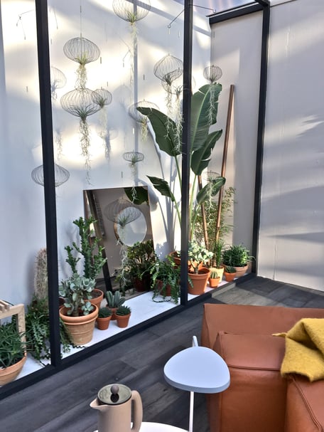 dieartigeBLOG - IMM Cologne 2017 - BloggerRoom | Luftpflanzen als Luftquallen