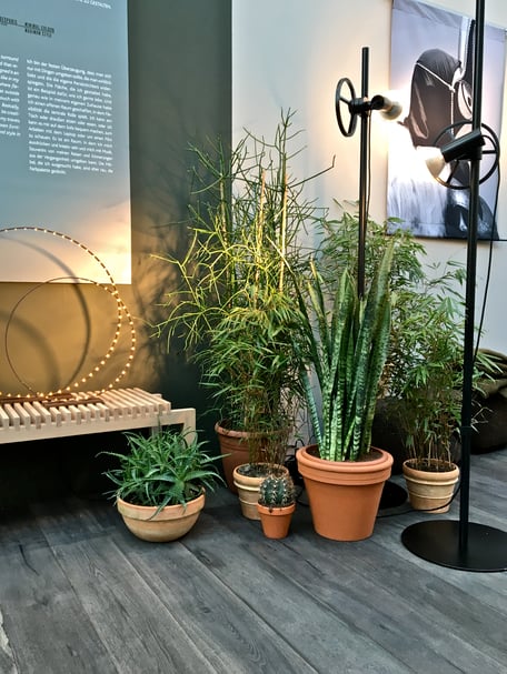 dieartigeBLOG - IMM Cologne 2017 - BloggerRoom | Zimmerpflanzen in Tontöpfen