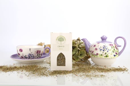 Löwenzahn- und Brennesseltee, Wahre Lebenswerte®, bei Praxis im Hof zur Erle