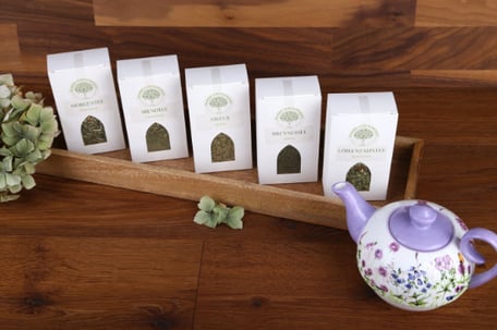 Zistrosentee, Wahre Lebenswerte®, bei Praxis im Hof zur Erle