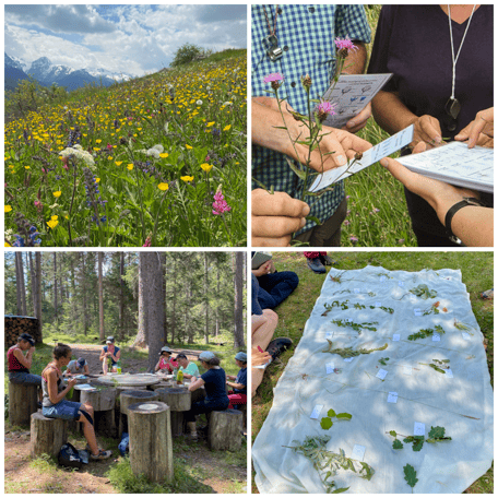Landschaften, Gruppe, Exkursionsorte, Repetition Pflanzen Zertifikat 200
