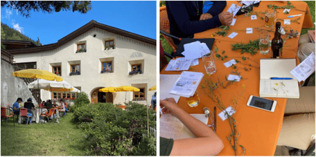 Unterkunft, Pension Arina, Pflanzen Repetieren, Pflanzen lernen