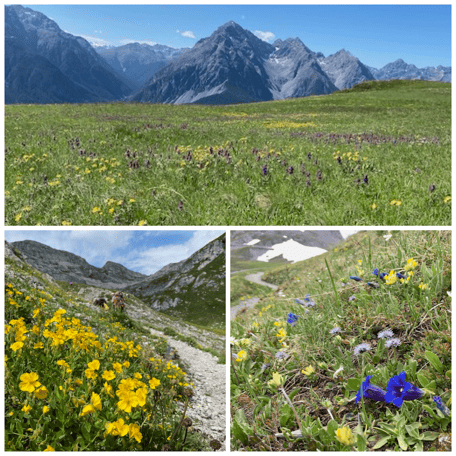 Landschaft, Exkursionsorte, Wanderwege, Flora Zertifikat 600