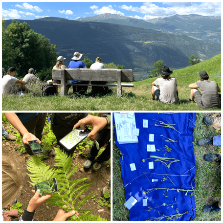 Exkursionsorte, Gruppe, Pflanzen repetieren, Flora Zertifikat 400