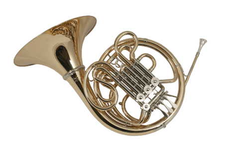 Doppelhorn Ricco Kühn Modell W 293 X