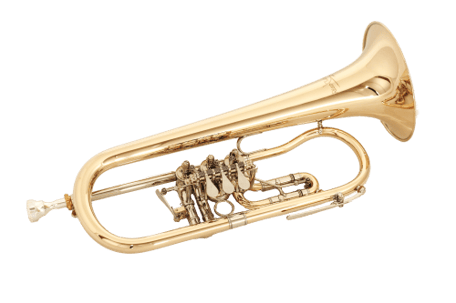 B Flügelhorn Ricco Kühn