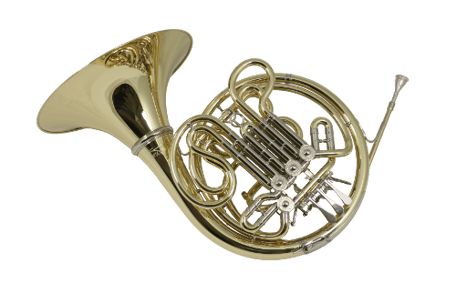 Doppelhorn Ricco Kühn Modell W 293 XS