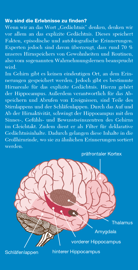 © Taleseedum/AdobeStock.de