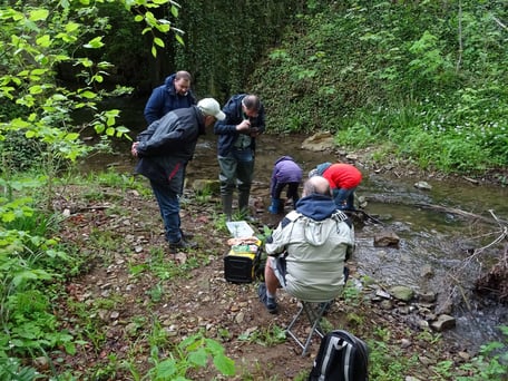 Eine Gruppe von Personen beugt sich über einen Bachlauf.
