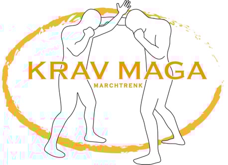 SC Int'l Street Combatives Krav Maga Marchtrenk Selbstverteidigung Kampfsport