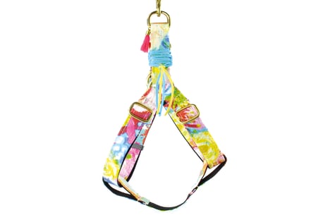 Hundegeschirr Geschirr Baumwolle bunt pink gelb gold  Pénélope  Frimousse Dog