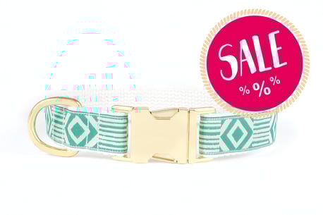 Hundestrand Hundehalsband grün weiß gold Out Of My Box Teal and Cream See Scout Sleep