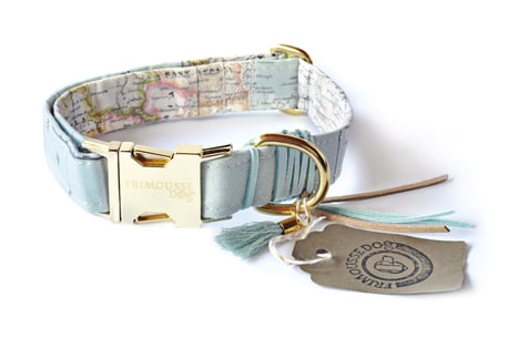 Hundehalsband Halsband Baumwolle Weltkarte hellblau gold O´Neill Frimousse Dog