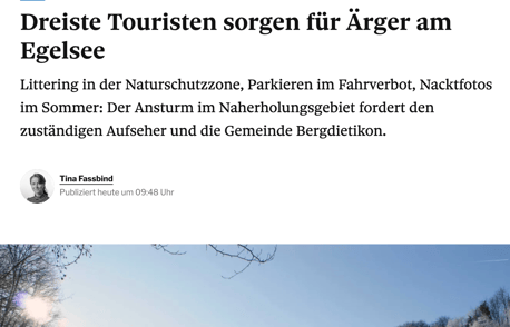 (Screenshot: tagesanzeiger.ch)