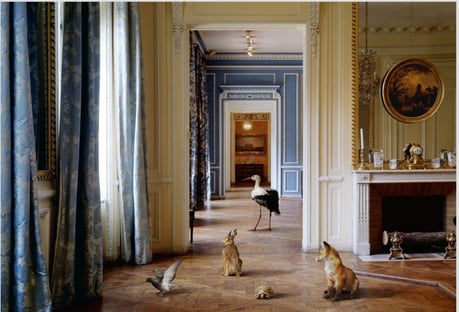 Exposition "Les vies Fabuleuses" à La Garance de Cavaillon, 2025