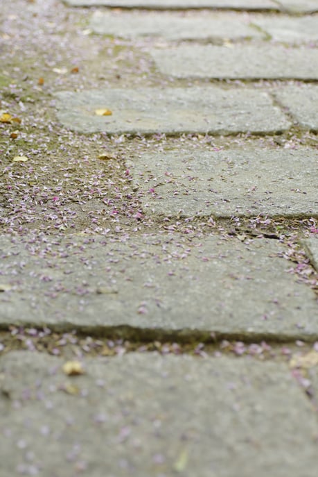 カービング　オーダー　フルーツ