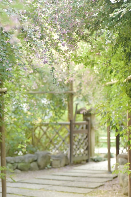 カービング　教室　大阪