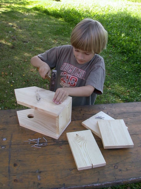 Nistkastenbau Foto: Birgit Helbig/ LBV-Bildarchiv