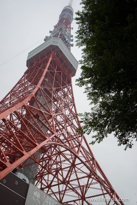 LifeTeria　ブログ