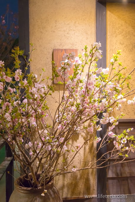 LifeTeria　ブログ