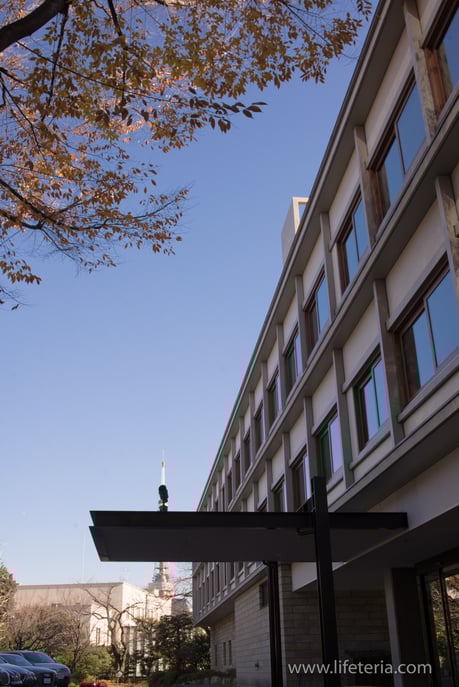 LifeTeria　ブログ