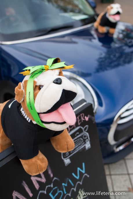 LifeTeria　ブログ